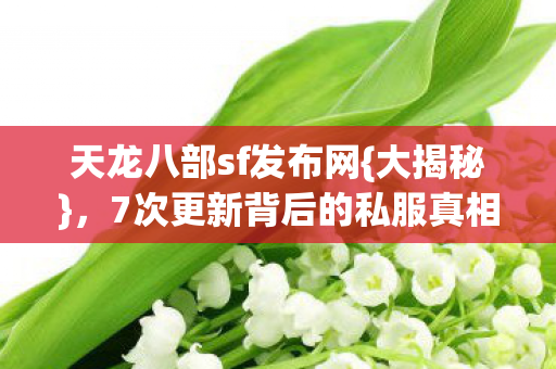 7次更新背后的私服真相图片