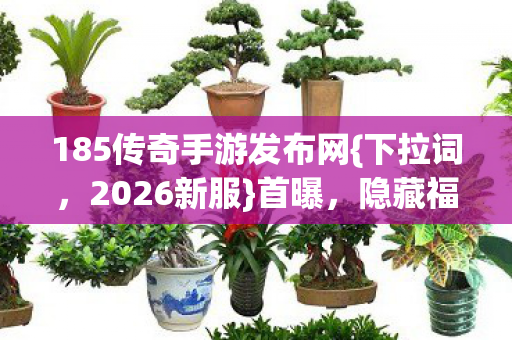 185传奇手游发布网图片