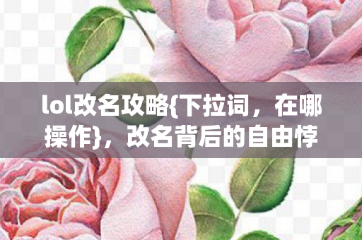 lol改名攻略{下拉词,在哪操作},改名背后的自由悖论探讨 lol改名攻略{下拉词,在哪操作},改名背后的自由悖论探讨