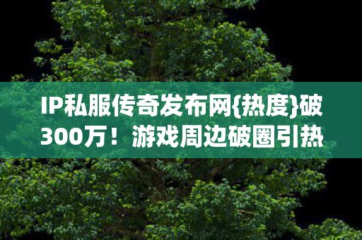 IP私服传奇发布网图片