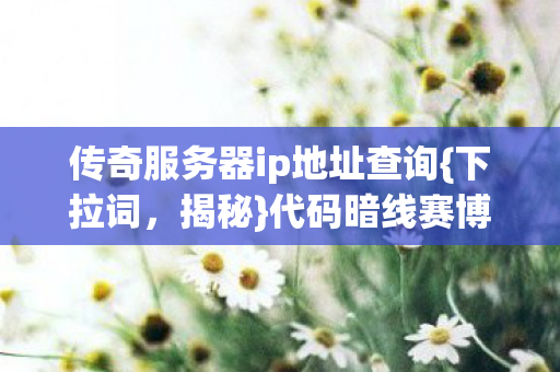 传奇服务器ip地址查询图片