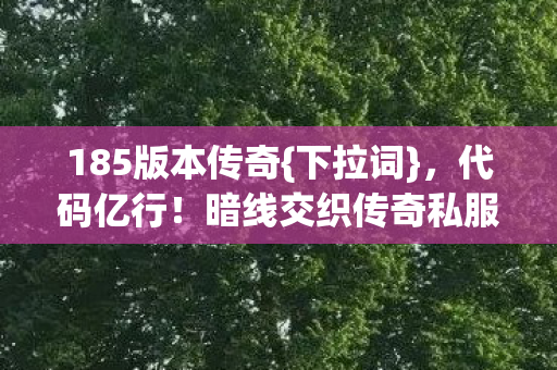暗线交织传奇私服图片