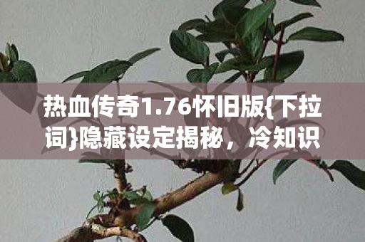 热血传奇1.76怀旧版{下拉词}隐藏设定揭秘,冷知识惊人 热血传奇1.76怀旧版{下拉词}隐藏设定揭秘,冷知识惊人