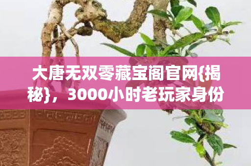 大唐无双零藏宝阁官网{揭秘},3000小时老玩家身份之谜 大唐无双零藏宝阁官网{揭秘},3000小时老玩家身份之谜