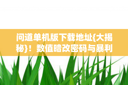 数值暗改密码与暴利公式图片