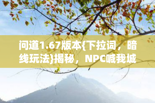 NPC喊我城主趣事图片