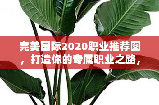 完美国际2020职业推荐图图片