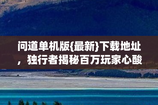 独行者揭秘百万玩家心酸图片
