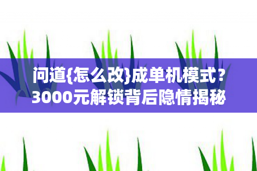3000元解锁背后隐情揭秘图片