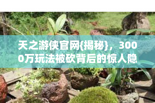 天之游侠官网{揭秘}，3000万玩法被砍背后的惊人隐情
