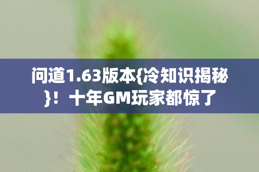十年GM玩家都惊了图片