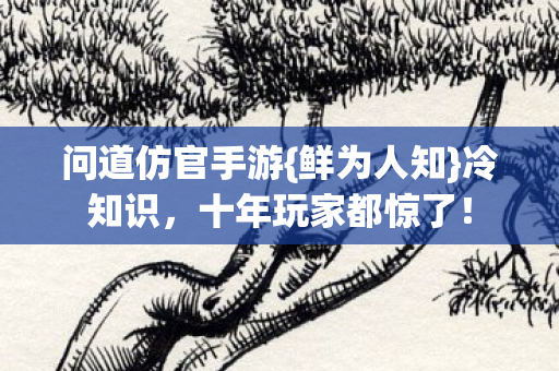 十年玩家都惊了图片