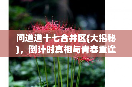 倒计时真相与青春重逢图片