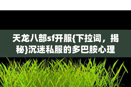 沉迷私服的多巴胺心理陷阱图片