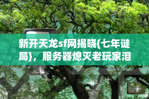 服务器熄灭老玩家泪目图片