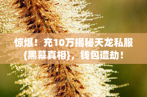 充10万揭秘天龙私服图片
