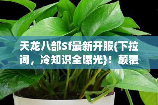 天龙八部Sf最新开服图片