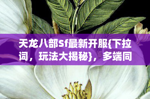天龙八部Sf最新开服图片