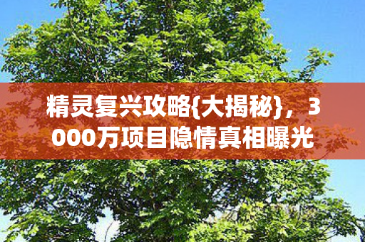精灵复兴攻略{大揭秘}，3000万项目隐情真相曝光