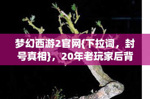 梦幻西游2官网{下拉词,封号真相},20年老玩家后背发凉 梦幻西游2官网{下拉词,封号真相},20年老玩家后背发凉