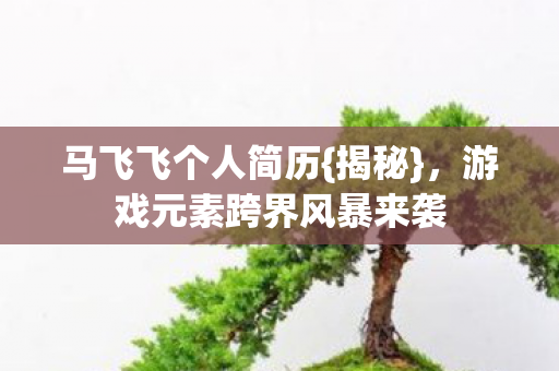 马飞飞个人简历{揭秘},游戏元素跨界风暴来袭 马飞飞个人简历{揭秘},游戏元素跨界风暴来袭