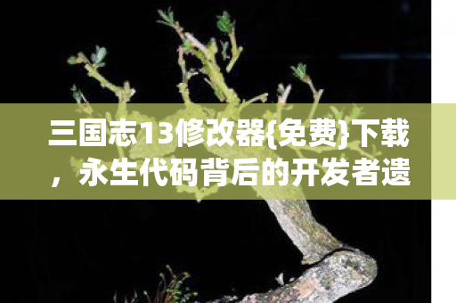 三国志13修改器{免费}下载，永生代码背后的开发者遗书