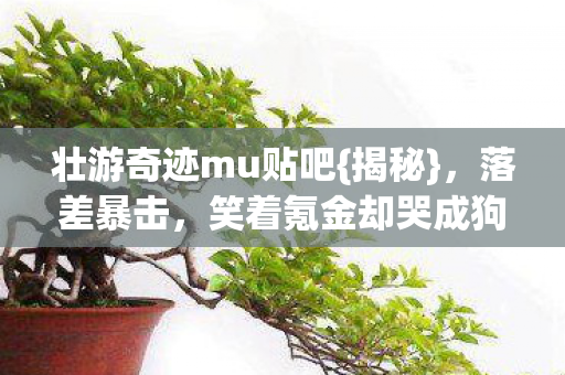 壮游奇迹mu贴吧{揭秘},落差暴击,笑着氪金却哭成狗 壮游奇迹mu贴吧{揭秘},落差暴击,笑着氪金却哭成狗