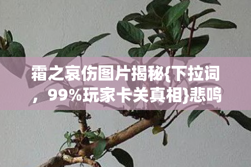 霜之哀伤图片揭秘{下拉词,99%玩家卡关真相}悲鸣之夜 霜之哀伤图片揭秘{下拉词,99%玩家卡关真相}悲鸣之夜