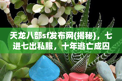 天龙八部sf发布网图片