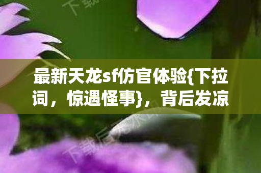 最新天龙sf仿官体验图片