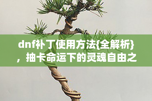 dnf补丁使用方法{全解析}，抽卡命运下的灵魂自由之惑