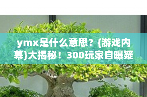 ymx是什么意思？{游戏内幕}大揭秘！300玩家自曝疑点