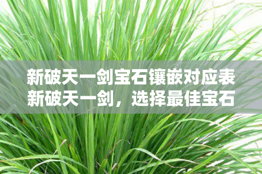 新破天一剑宝石镶嵌对应表新破天一剑，选择最佳宝石的攻略，新破天一剑，最佳宝石镶嵌攻略与对应表