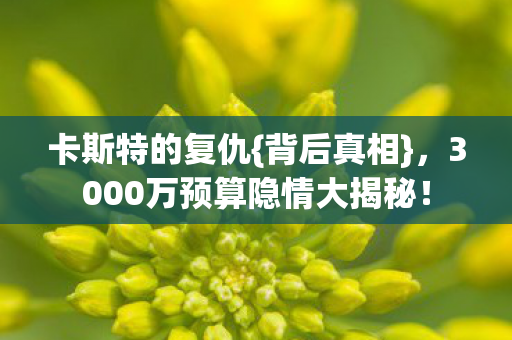 3000万预算隐情大揭秘图片