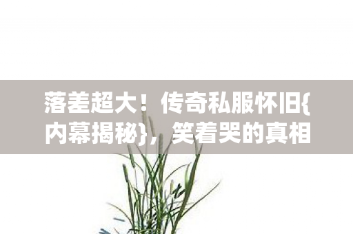 传奇私服怀旧图片