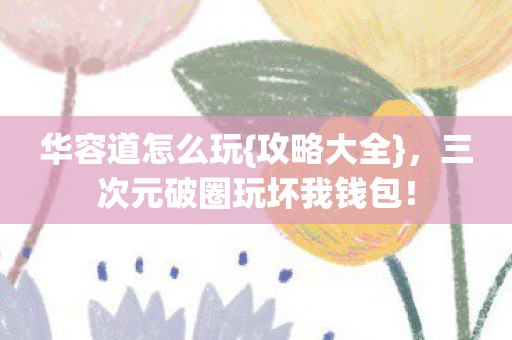 三次元破圈玩坏我钱包图片
