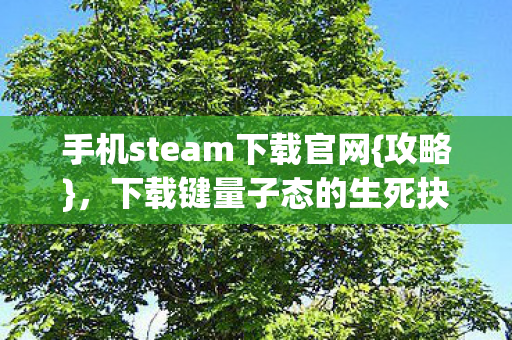 手机steam下载官网图片