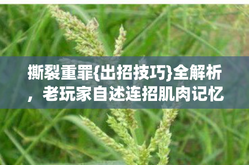 撕裂重罪{出招技巧}全解析,老玩家自述连招肌肉记忆之谜 撕裂重罪{出招技巧}全解析,老玩家自述连招肌肉记忆之谜