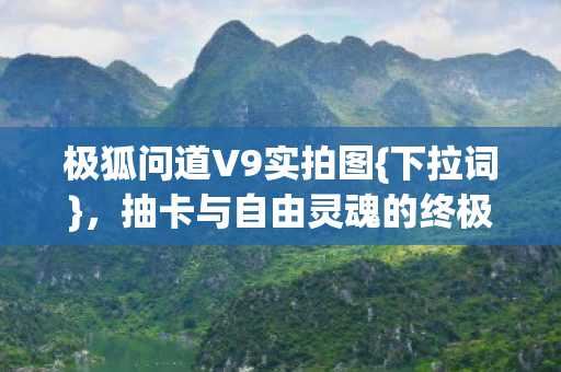 抽卡与自由灵魂的终极审判图片