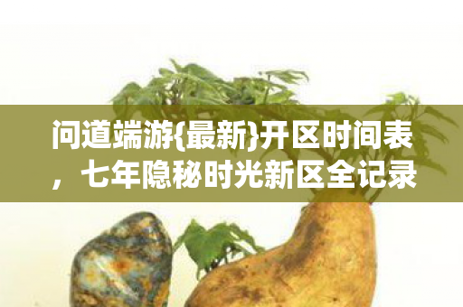 七年隐秘时光新区全记录图片