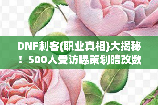 DNF刺客{职业真相}大揭秘!500人受访曝策划暗改数据 DNF刺客{职业真相}大揭秘!500人受访曝策划暗改数据