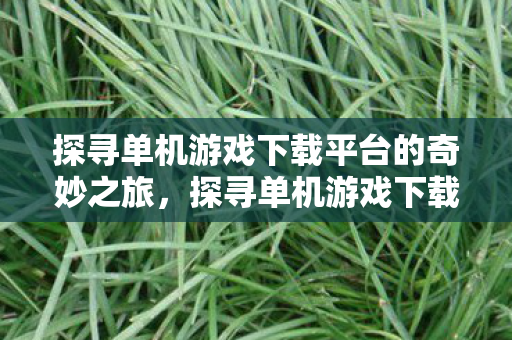 探寻单机游戏下载平台的奇妙之旅图片
