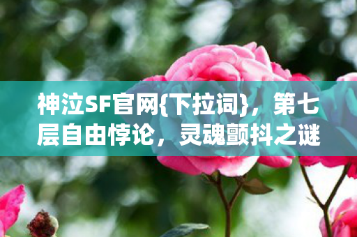 神泣SF官网{下拉词}，第七层自由悖论，灵魂颤抖之谜