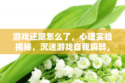 游戏还愿怎么了，心理实验揭秘，沉迷游戏自我麻醉，细思极恐的失控人生