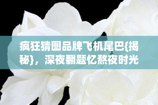 疯狂猜图品牌飞机尾巴{揭秘},深夜翻题忆熬夜时光 疯狂猜图品牌飞机尾巴{揭秘},深夜翻题忆熬夜时光