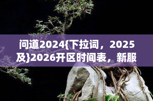 新服狂砸背后隐情揭秘图片
