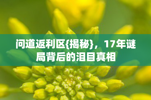17年谜局背后的泪目真相图片
