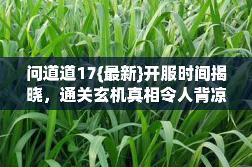 通关玄机真相令人背凉图片
