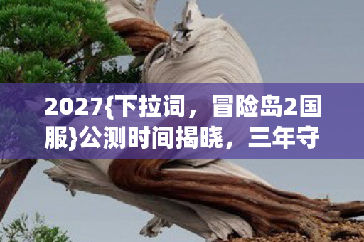 2027{下拉词,冒险岛2国服}公测时间揭晓,三年守候终迎曙光 2027{下拉词,冒险岛2国服}公测时间揭晓,三年守候终迎曙光
