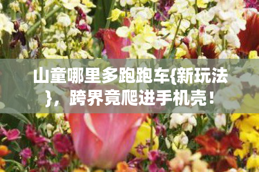 山童哪里多跑跑车{新玩法},跨界竟爬进手机壳! 山童哪里多跑跑车{新玩法},跨界竟爬进手机壳!